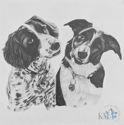 Spaniel and Collie Spaniel and Collie